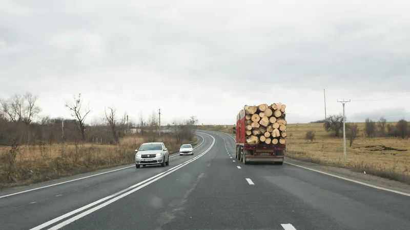 Cantitatea de material lemnos a fost evaluată la suma de 13.410 lei, fiind confiscată - Foto: INQUAM PHOTOS/ Tudor Costache