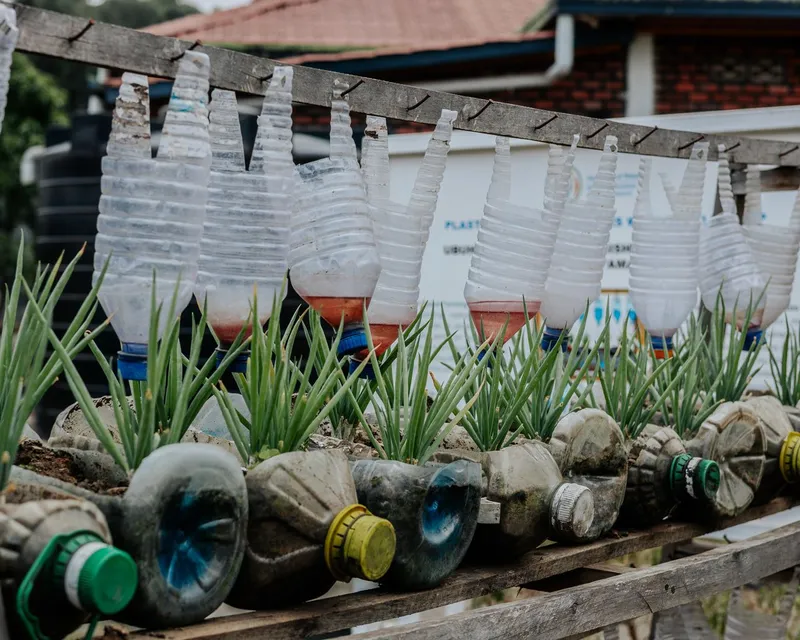 Sticle din plastic &icirc;n grădină - Foto: Pexels (Imagine cu rol ilustrativ)