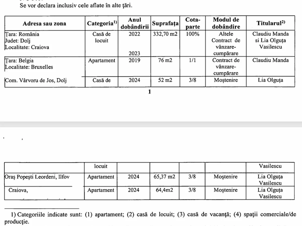 Declarație de avere Manda 2024 - Foto: ANI
