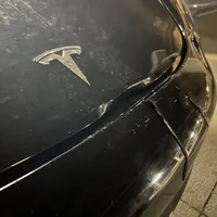 VIDEO O Tesla pe pilot automat a ucis o căprioară. Ciudăţenie la programarea service-ului maşinii - Foto: X/Paul S