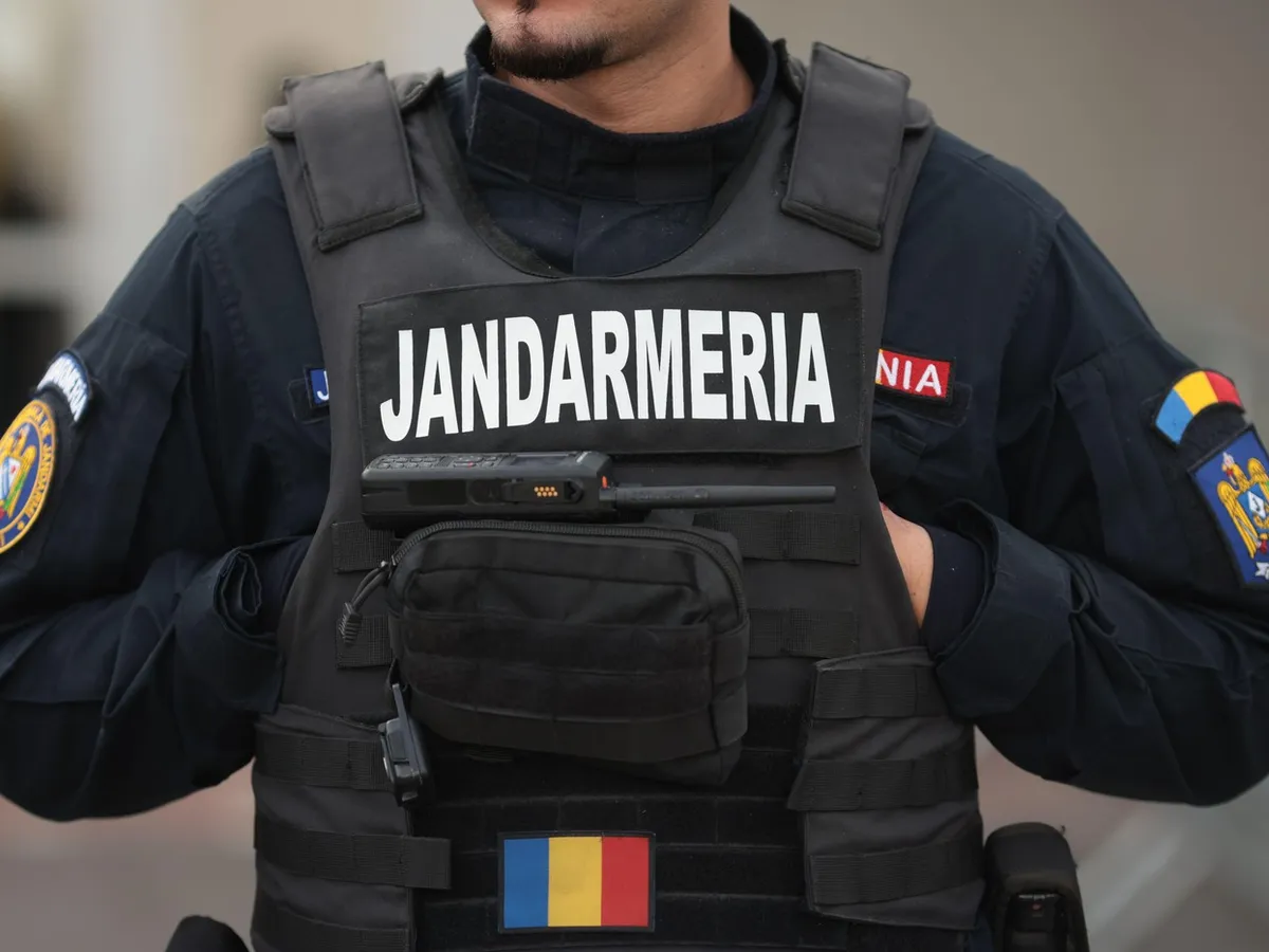 Jandarm - Foto: Profimedia Images