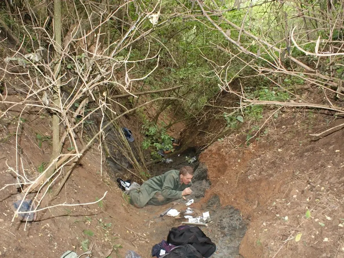 Descoperire în Transilvania - Foto: Elte