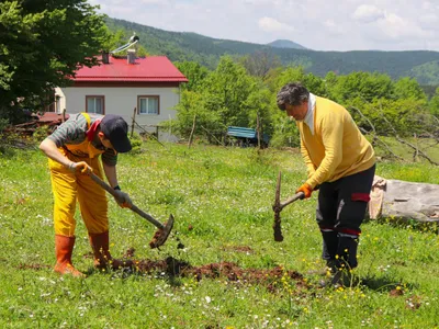 Doi fermieri sapă într-un câmp însorit și cu iarbă lângă o casă - Foto: Pexels (Imagine cu rol ilustrativ)