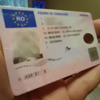 900 de euro permisul fals de conducere - Foto: Florin Budescu