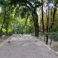 Bucuresti FM