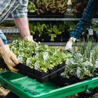 Românii cheltuie de 50 de ori mai puțin pe produse BIO decât Europa. Sprafața cultivată, infimă / PEXELS, Greta Hoffman