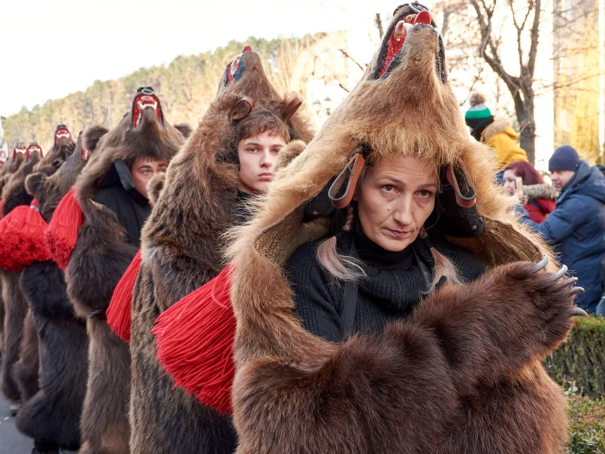 De unde a apărut tradiția Ursului în Moldova. Un simbol al purificării și norocului de Crăciun