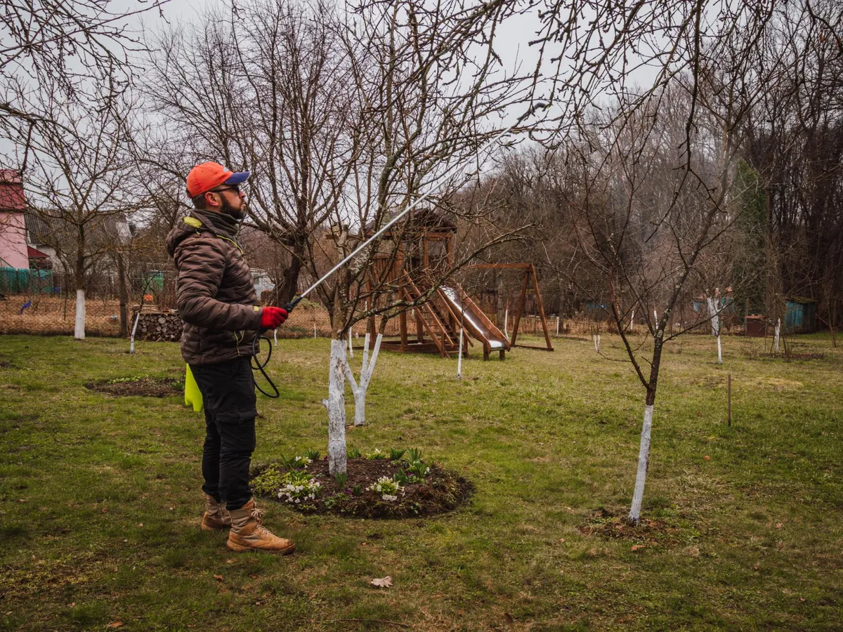 La ce temperatură poți stropi pomii, vița de vie și trandafirii? Este important să-ți notezi data stropirii