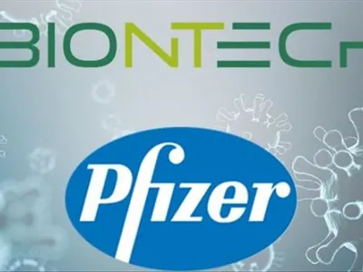 Pfizer / anadolu