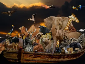 Cel mai bătrân animal din lume a trăit 507 ani - Foto: Pixabay (cu rol ilustrativ)