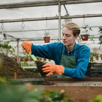 Ingredientul din bucătărie, îngrășământ de lux pentru plantele din casă. Cum îl folosești? Foto: Profimedia Images (imagine cu rol ilustrativ)