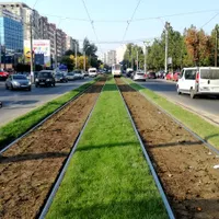 Gazonul a fost scos dintre linii și pus pe linii. Foto Libertatea