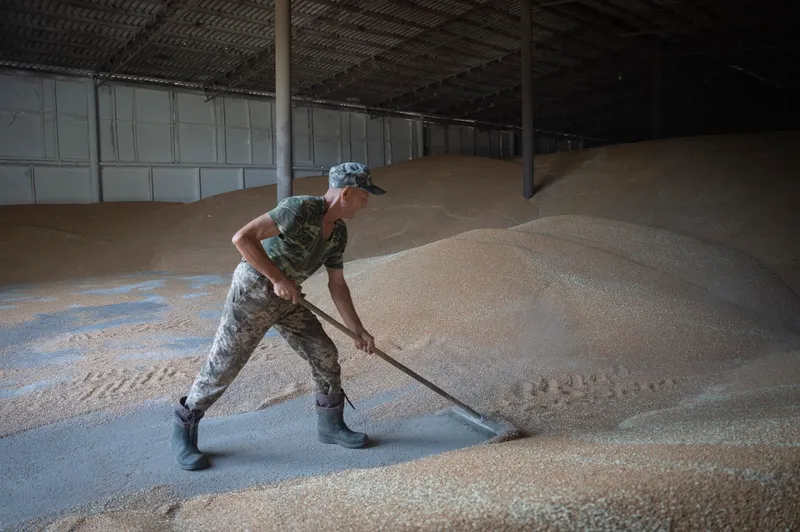 Rusia respinge coridorul cerealelor din Marea Neagră. 30.000.000 tone de produse agricole răm&acirc;n &icirc;n Ucraina - Foto: Profimedia Images (imagine cu  rol ilustrativ)