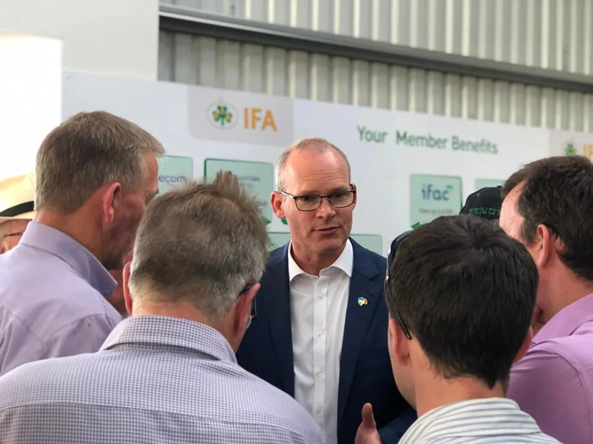Ministrul irlandez de externe: Exercițiile navale rusești în apropierea Irlandei nu sunt binevenite/FOTO: Simon Coveney
