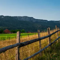 Teren cu gard Foto: Pexels (imagine cu rol ilustrativ)