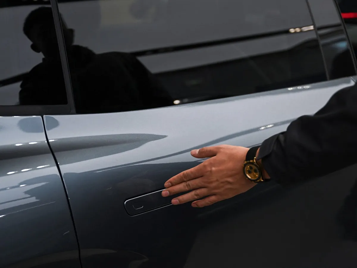 Portieră cu clanță „acunsă” - Foto: Profimedia Images