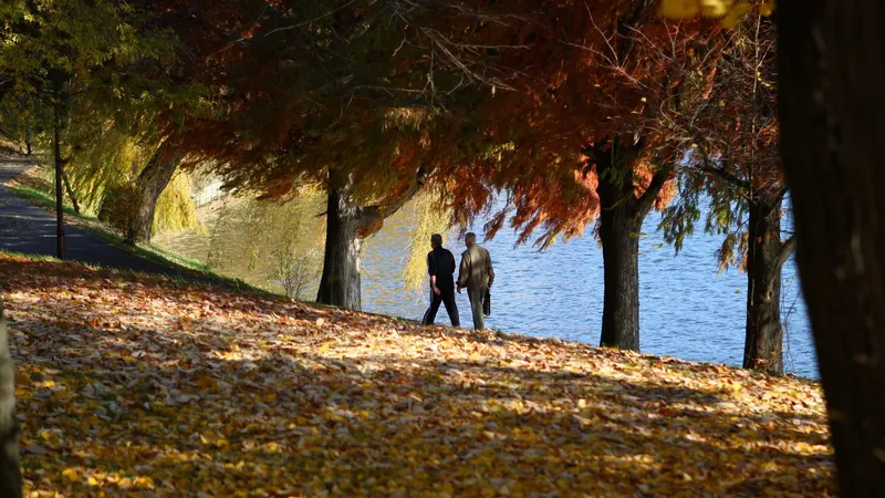 Trupul neînsuflețit al unui bărbat a fost găsit în lacul Herăstrău, în apropierea unei terase/FOTO: Inquam Photos / Oana Pavelescu