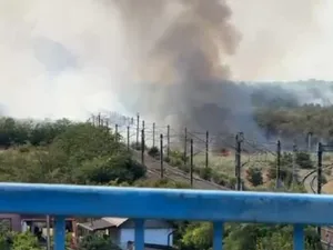 Circulația trenurilor, oprită între Medgidia şi Mircea Vodă - Foto: radioconstanta.ro