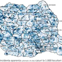 Sursa: Raport INSP