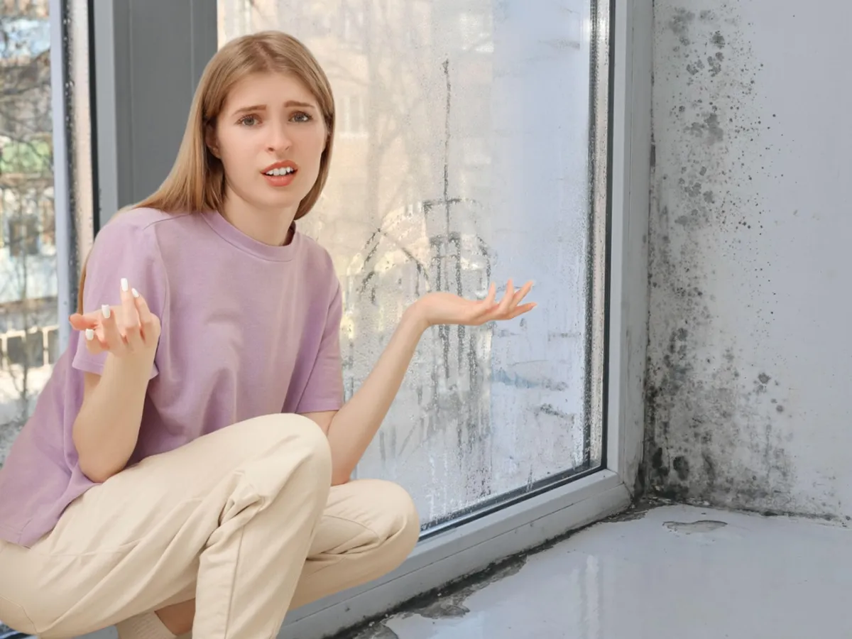Cum reglezi corect umiditatea în casă? Ce valori sunt recomandate iarna pentru a scăpa de igrasie sau mucegai
