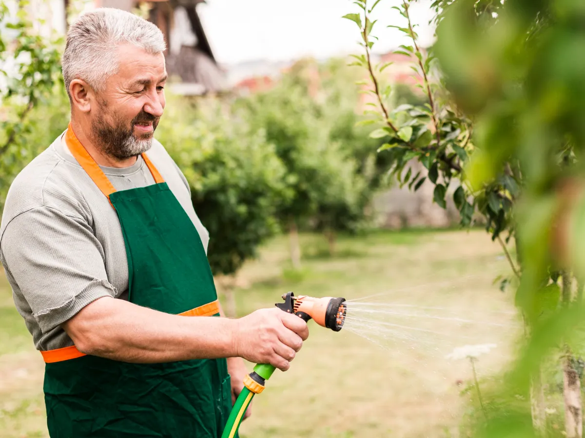 Cum să vă protejați grădina în perioada caniculei. Nu trebuie să udați plantele zilnic pentru a supraviețui