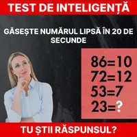 Test de inteligență Foto: Daniel Toșa