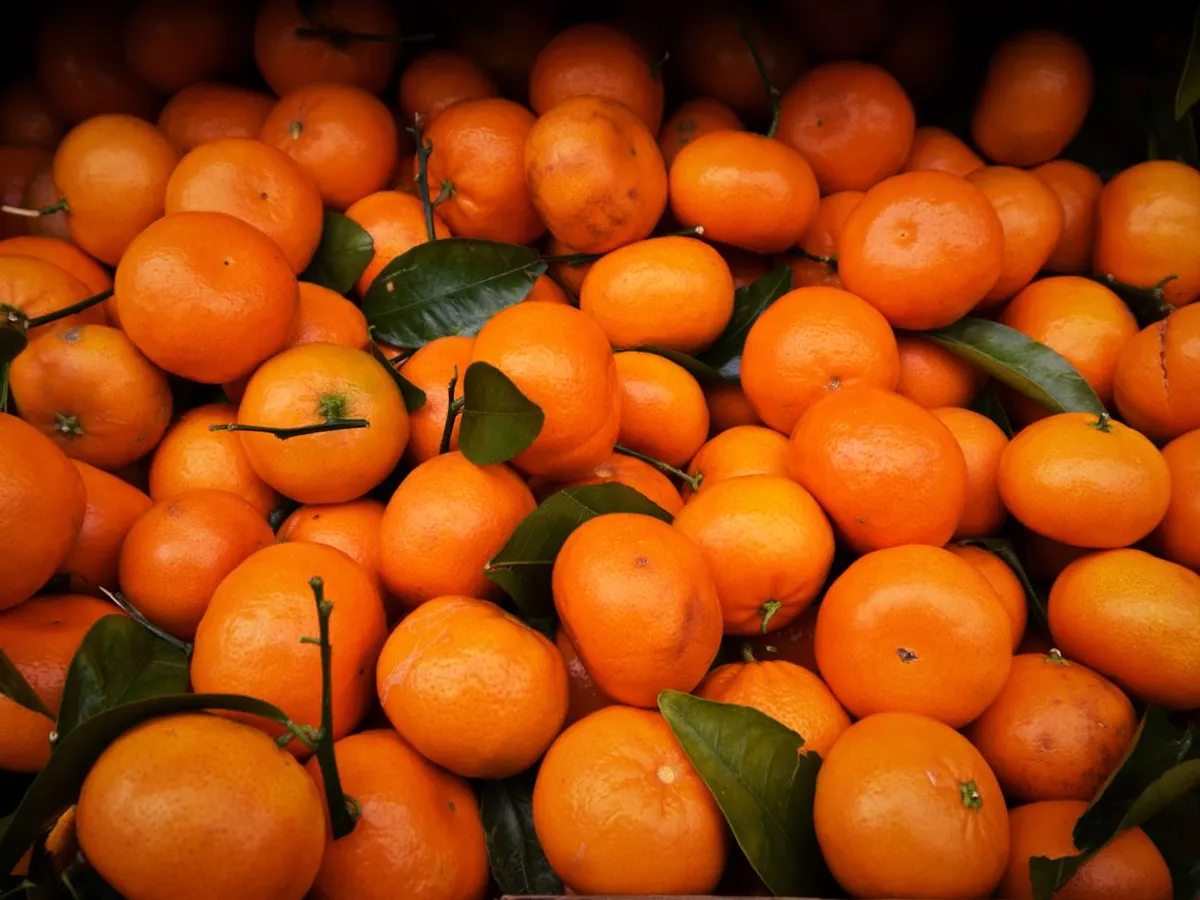 Mandarine Foto: Pexels (imagine cu rol ilustrativ)