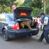 Doi români cu un VW cu numere false au lovit mașina poliției care-i urmărea în Germania. Polițiștii au folosit un câine care detectează droguri Foto: dubisthalle.de
