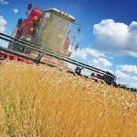 În Nord-Estul României, aproape jumătate din angajați sunt legați de industria alimentară