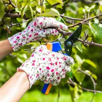 Ultimele zile pentru curățarea pomilor din curte! Ce riști dacă nu le tai crengile la timp? - Foto: Profimedia Images (imagine cu rol ilustrativ)