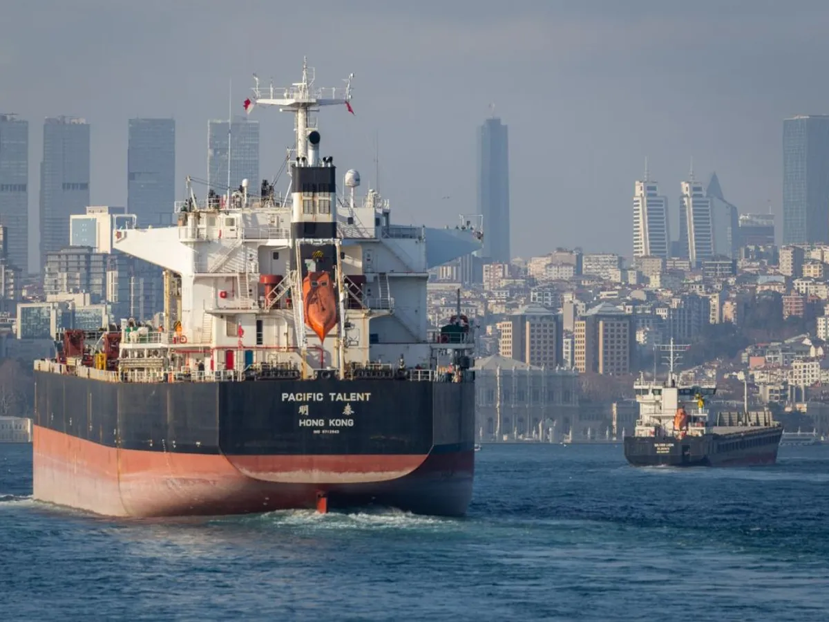 Tancuri petroliere şi nave cargo tranziteatză Strâmtoarea Bosfor - Foto: Profimedia Images