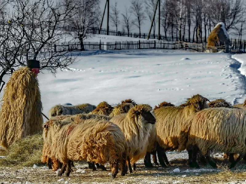 Care e satul din România unde locuitorii se consideră daci