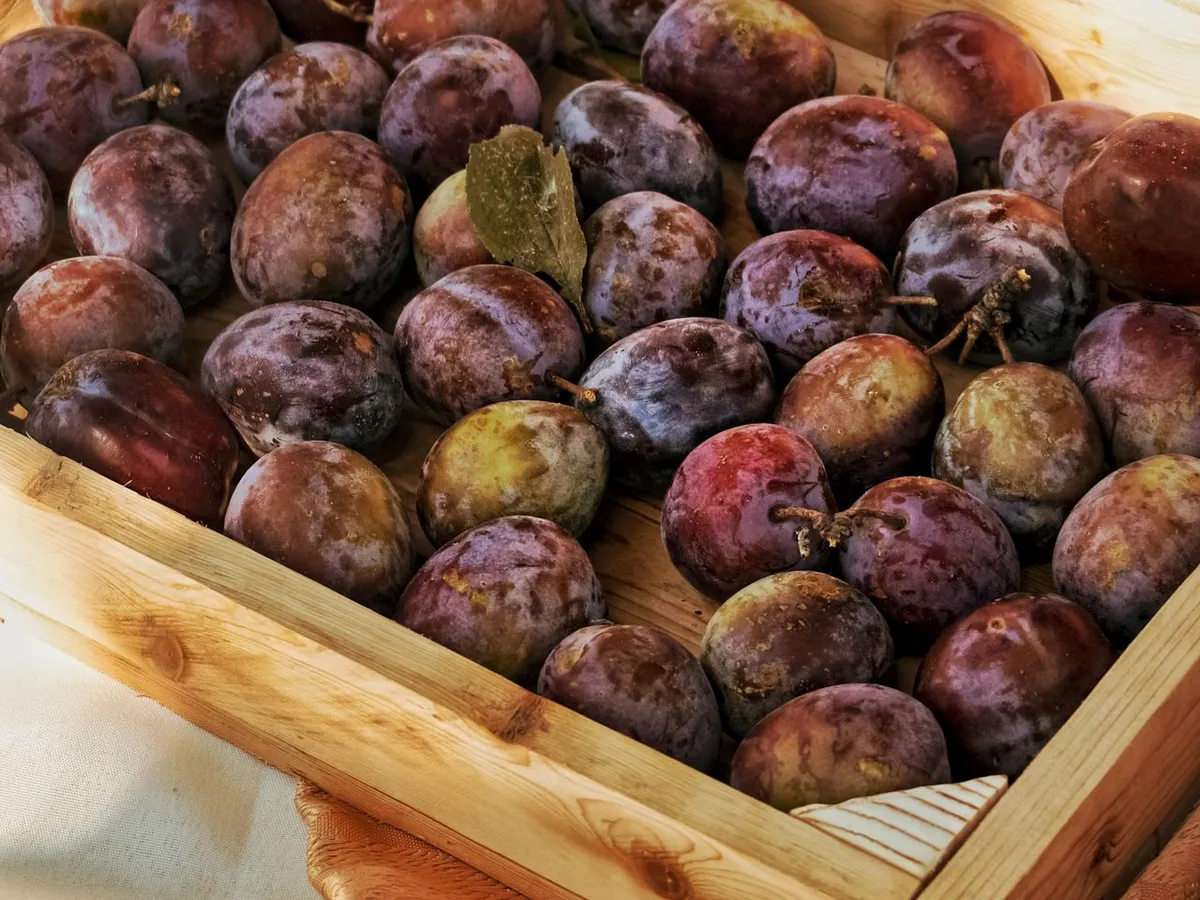 Prune - Foto: Pexels (Imagine cu rol ilustrativ)