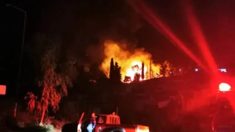 Incendiu violent pe insula Samos din Grecia. FOTO: Facebook