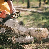 Amenzi pentru furtul de lemn- Foto: PEXELS PHOTOS