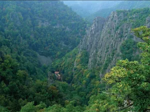 O creatură înfricoșătoare bântuie prin Munții Harz din Germania. Pare coborâtă din mituri  - Foto: dreamtime.com (imagine cu caracter ilustrativ)