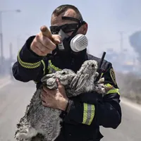 Pompier român care a salvat din calea flăcărilor doi iepuri și o pisică - Foto: Facebook/ AFP