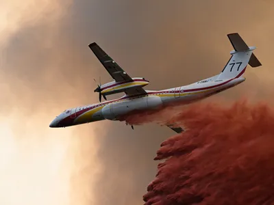 Incendiu masiv de vegetație, în vestul Canadei - Foto: Profimedia Images