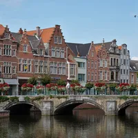 În Belgia, în loc de gin se produce dezinfectant