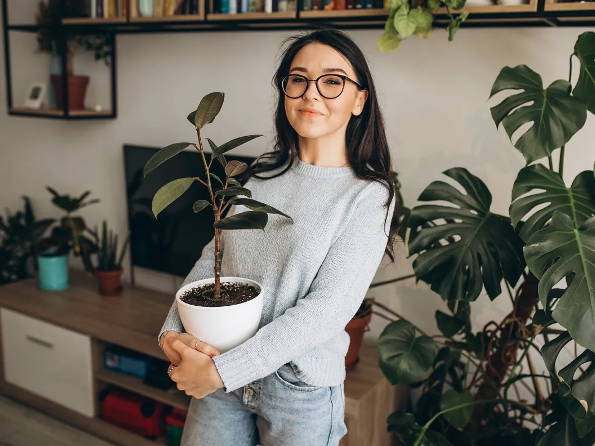 Planta care te scapă de țânțari. Trucuri pentru alungarea deranjantelor insecte