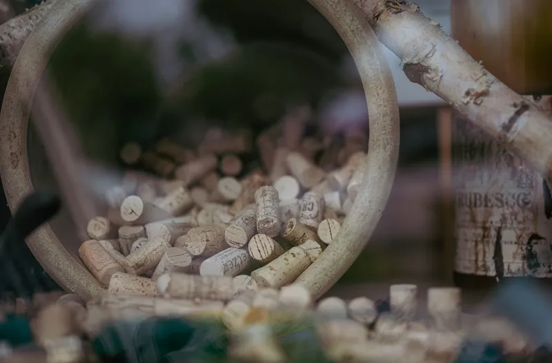 Dopurile de vin - Foto: Pexels (Imagine cu rol ilustrativ)