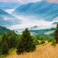 Locul din România unde oamenii ar crește în înălțime dacă fac acest lucru. Ce spun cercetătorii - Foto: Profimedia Images/ Imagine cu caracter ilustrativ
