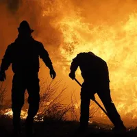 Siria a executat 24 de oameni acuzați că au provocat incendiile forestiere care au devastat țara/FOTO: Unsplash