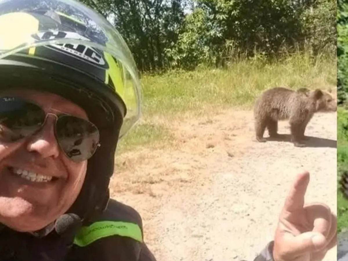 Turistul ucis de o ursoaică postase, cu o zi înaintea atacului, poze cu urşi pe marginea drumului - Foto: News.ro