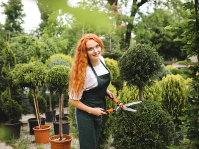 Grădinărit Foto: Magnific (imagine cu rol ilustrativ)