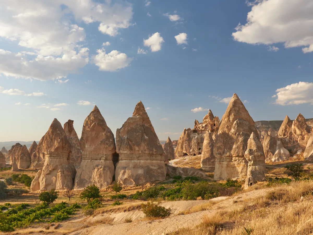 Turcia Foto: Freepik (rol ilustrativ)