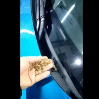 La sistemul de ventilație al Daciei Spring s-a făcut economie. E „aspirator” de frunze și praf. / Foto: captură video