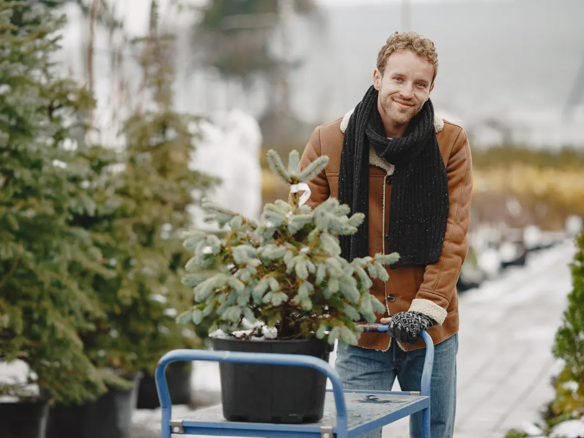 Cum să previi crăparea ghivecelor de exterior în această iarnă. Lemn, ceramică sau teracotă – care rezistă?