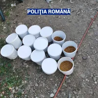 Foto: Politia Romana