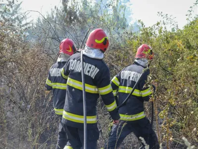 Incendiul de pădure din Argeș. 100 persoane intervin de Paște. De la ce ar fi pornit focul - Foto: arhivă (Imagine cu rol ilustrativ)